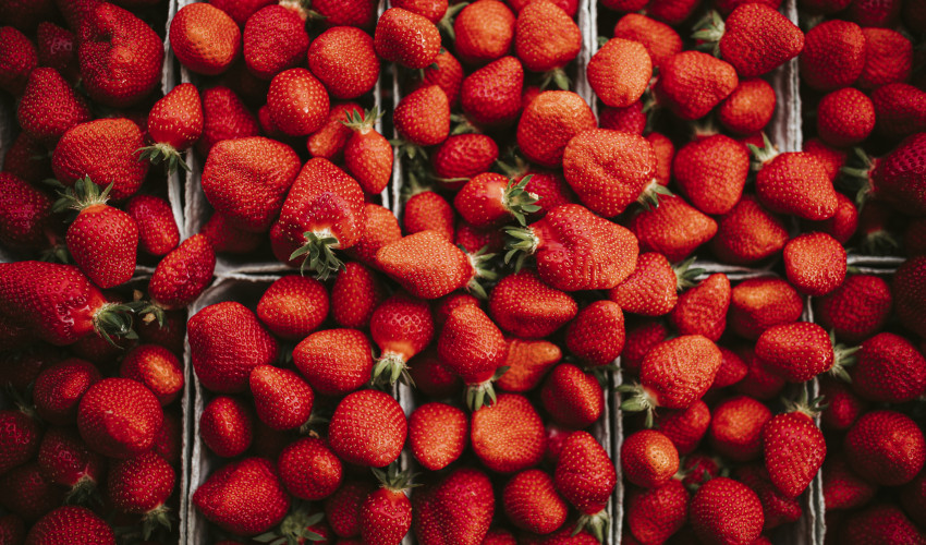 Pick your own strawberries