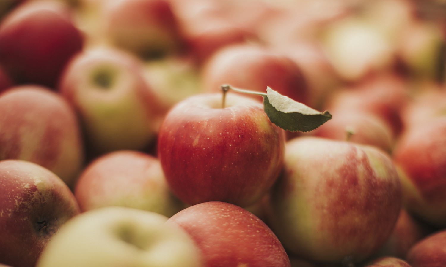 Apples
