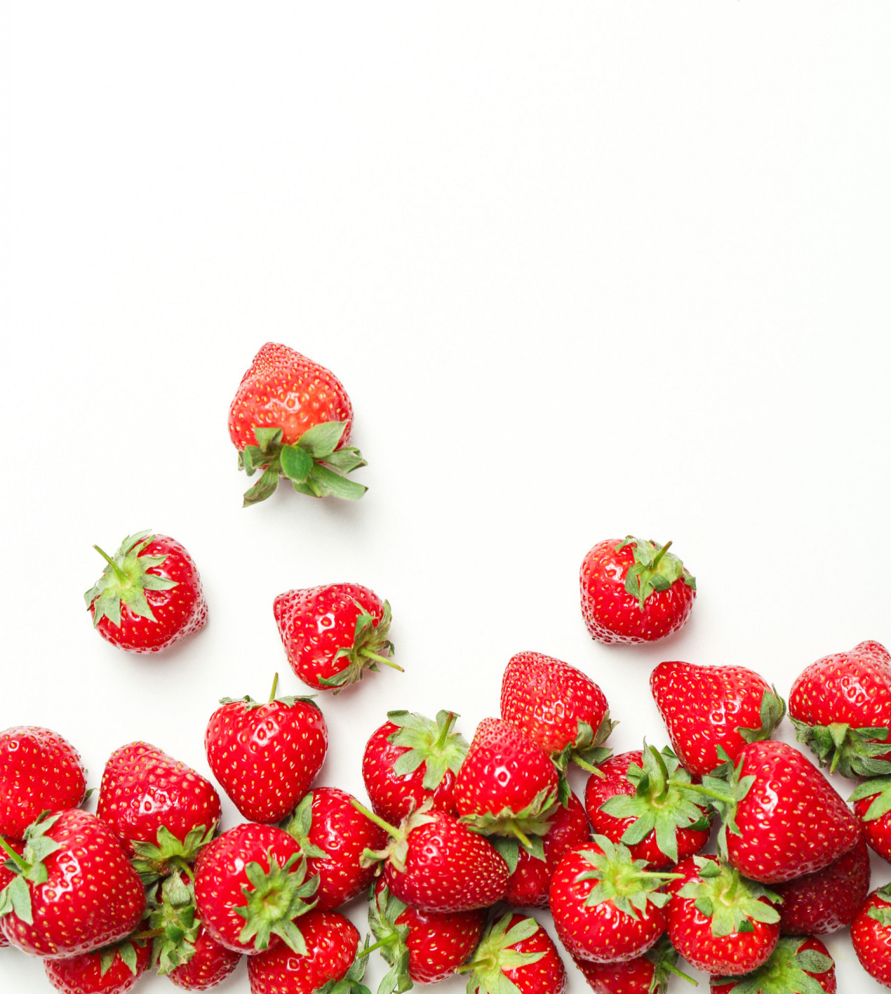 The world of strawberries