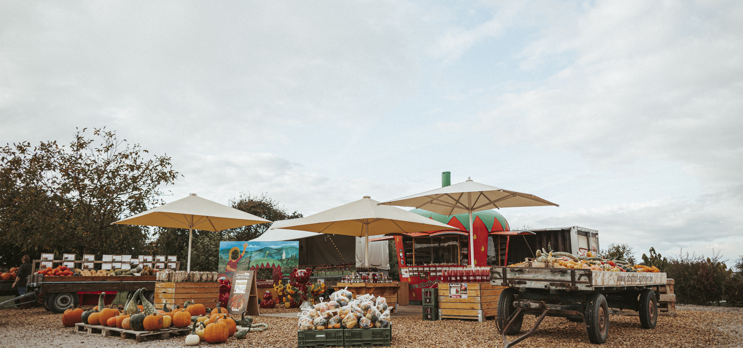 Discover our variety of freshness